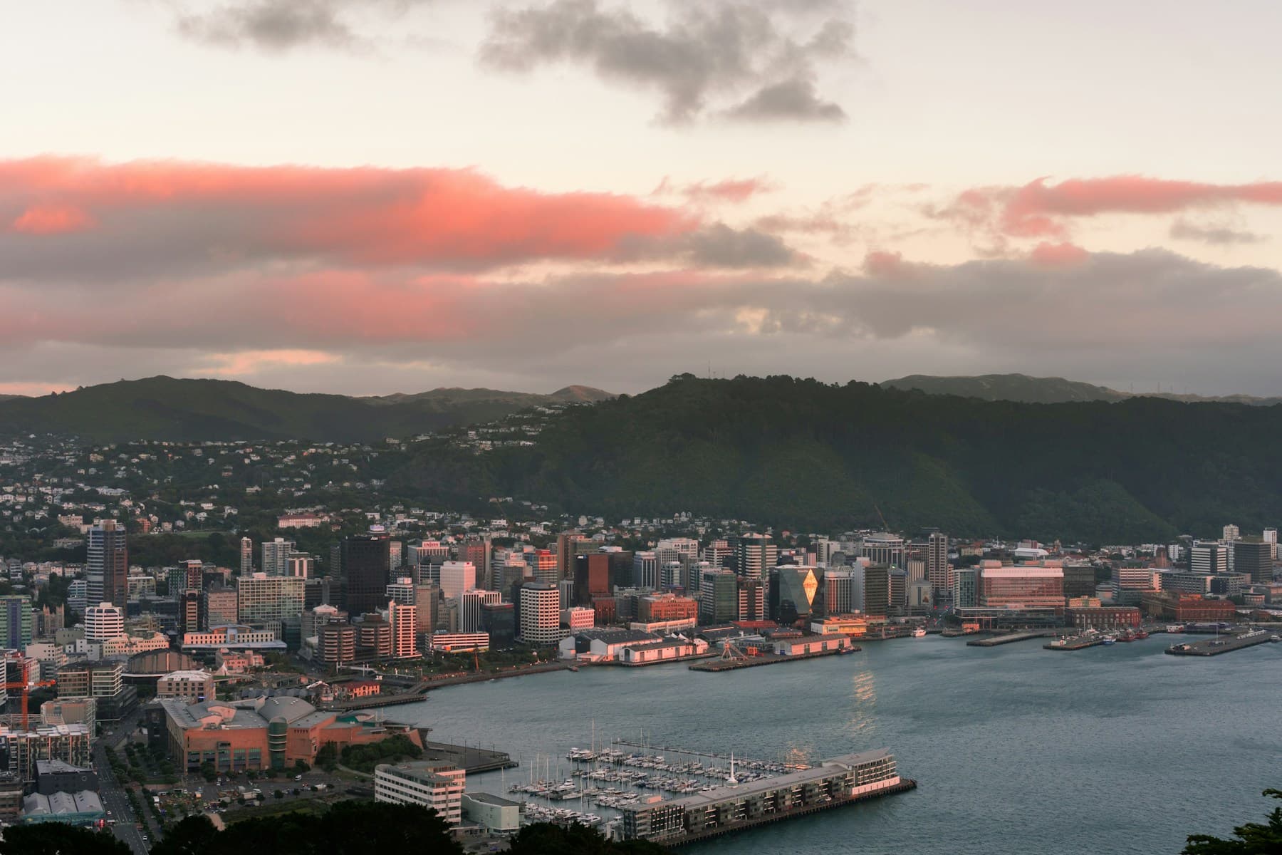 Wellington waterfront and city skyline beneath a pink evening sky